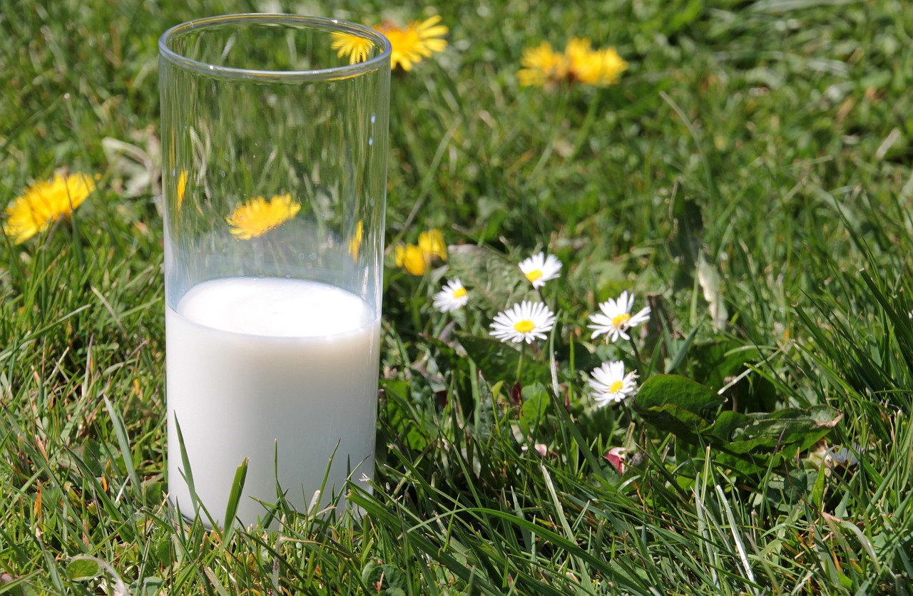 Par quoi remplacer le lait de vache ?